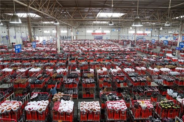 上海周末新去处!2025年绿色云品上海主题市集来袭,咖啡盲品、花艺手作等你来