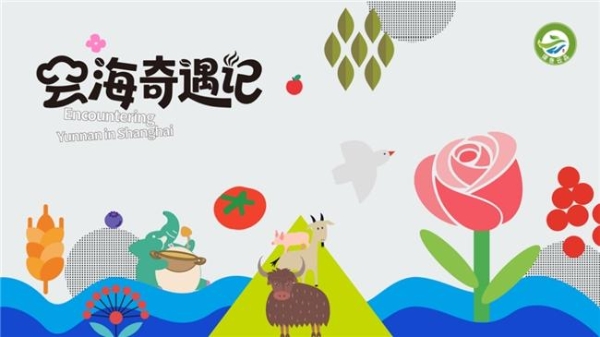 上海周末新去处!2025年绿色云品上海主题市集来袭,咖啡盲品、花艺手作等你来