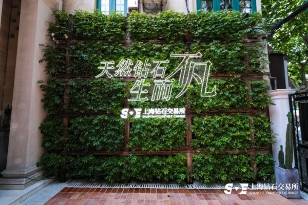 原钻2025年产量预计仅1.05亿克拉，稀缺性助推天然钻石市场价值回升 