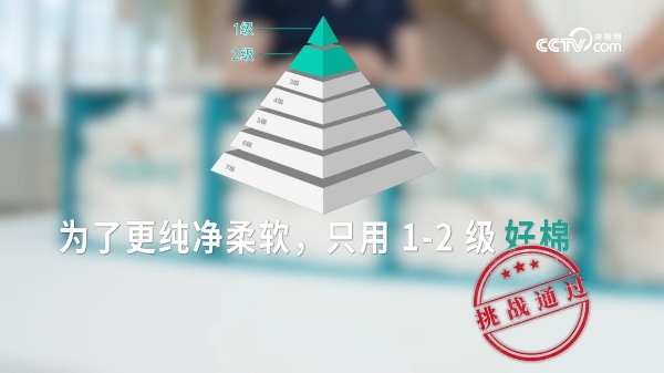 央视网“超级爸妈考察团”走进全棉时代婴童衣物安心工厂 
