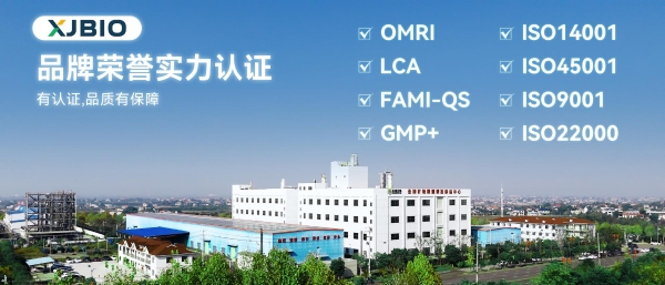 践行可持续发展，兴嘉生物再添国际双体系认证 