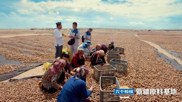 一颗核桃的富民路，养元饮品一亿公斤采购量绘就乡村振兴新图景 