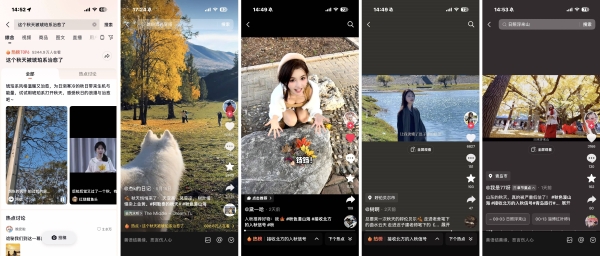 「秋色漫山海」落幕，书写北方秋日文旅新篇章 