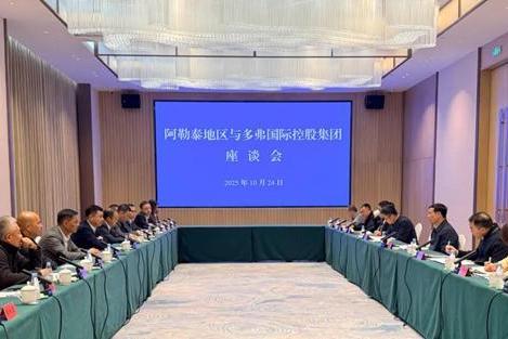 阿勒泰地区与多弗集团举行正式座谈 就未来合作方向达成重要共识 