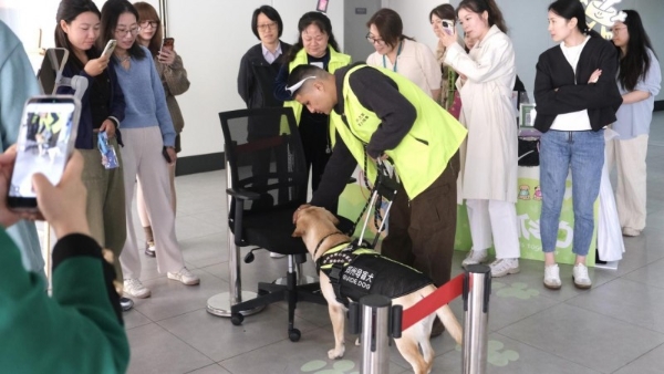 感谢每一份爱的助力！2025柯尼卡美能达导盲犬公益活动温情谢幕 