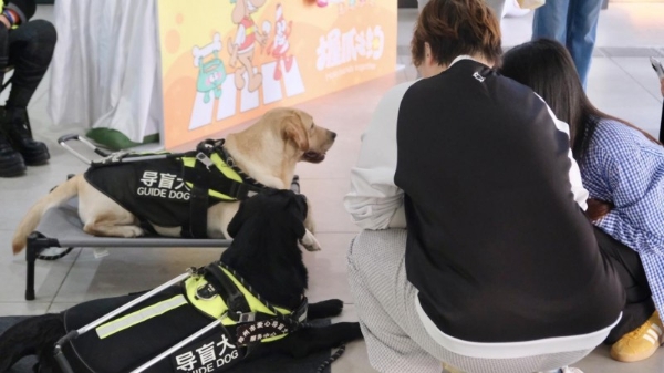 感谢每一份爱的助力！2025柯尼卡美能达导盲犬公益活动温情谢幕 