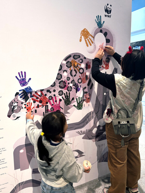 从高山到社区----2025国际雪豹日、国际熊猫日系列活动在成都成功举办