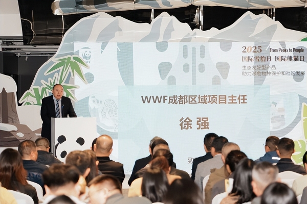 从高山到社区----2025国际雪豹日、国际熊猫日系列活动在成都成功举办