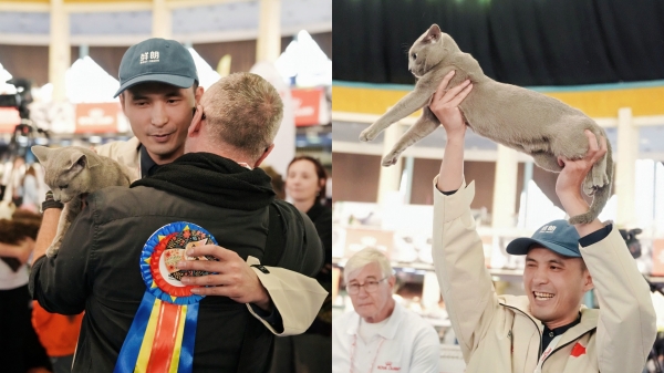 鲜朗携 FIFe 中国队海外夺冠,加速国产宠粮高端化新态势