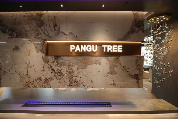 教育部“护心”十条发布,盘古树教育以“双翼”赋能——为孩子的头脑与心灵,同步安装“成长程序”