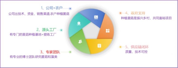 鲜之惠·山海鲜调味料“火出圈”!四个维度告诉你答案!