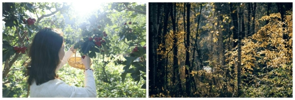 北京山谷:全龄友好社区实践,开启三代同乐生活新篇章