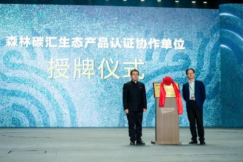 纹艺觉醒·木源季丨千年舟2026年新品发布会盛大举办