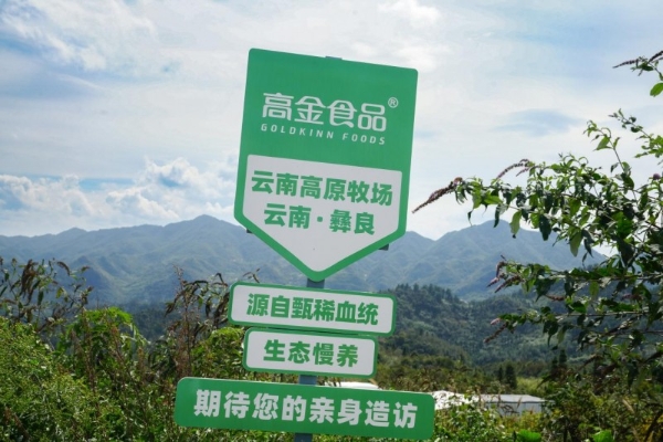 共创中国黑猪供应链新标杆，高金食品与叮咚买菜首批合作养殖黑猪成功出栏 