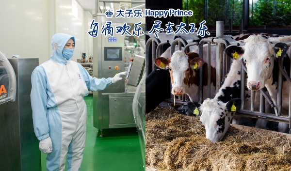 重阳敬老选好礼，太子乐中老年奶粉以营养守护长辈安康 