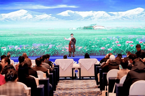 2025年西藏藏西北区域文化旅游推广联盟 推介会(成都站)成功举办