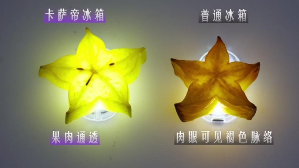 冰箱保鲜“鹰眼”挑战:中网合作伙伴卡萨帝唯一营养留存率超99%