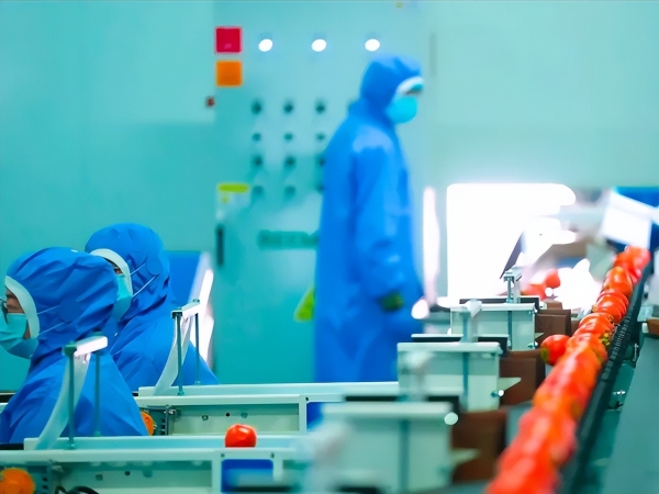 一枚柿子的“乡村变形记”