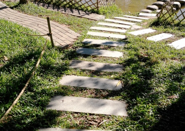 理性消费驱动细分市场，松典轻量级相机成双十一新焦点 