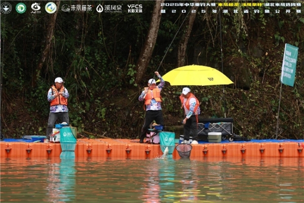 鱼跃二龙山，文旅焕新颜！2025 中华垂钓大赛 “来凤藤茶・溪凤泉杯” 湖北来凤选拔赛盛大启幕