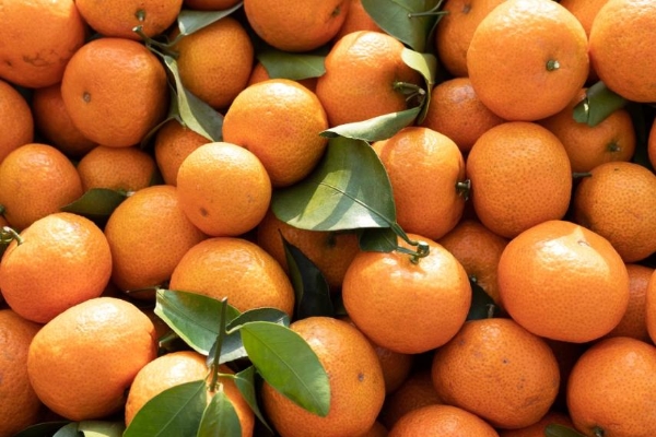 当砂糖桔遇上金秋，钱大妈秋季果篮子上新 