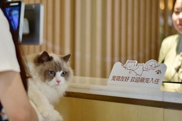 首旅如家携手泰华施共建"酒店清洁技术实验室"，共筑可持续旅居新标杆 