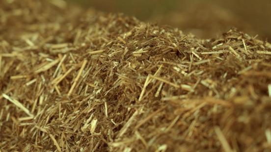 一杯“三元北京鲜牛奶”的70年坚守：三元用自有奶源筑牢品质护城