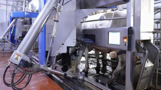 一杯“三元北京鲜牛奶”的70年坚守：三元用自有奶源筑牢品质护城