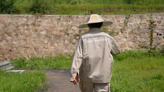 一杯“三元北京鲜牛奶”的70年坚守：三元用自有奶源筑牢品质护城