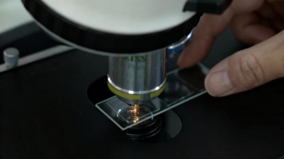 一杯“三元北京鲜牛奶”的70年坚守：三元用自有奶源筑牢品质护城