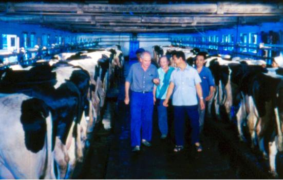 一杯“三元北京鲜牛奶”的70年坚守：三元用自有奶源筑牢品质护城