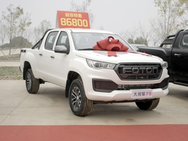 闪耀银河 火星护航，火星皮卡、大将军皮卡亮相“国际庄”