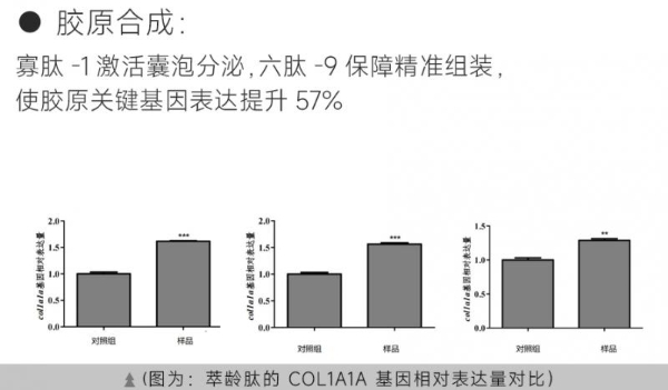 黛安蒂×兰迪・谢克曼：诺奖级科研赋能，开启东方抗衰护肤新征程 