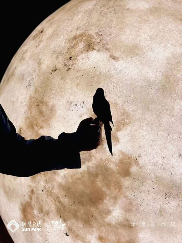 月圆亮马 艺聚朝阳：消费季进行时！北湖艺术季先“浪”起来，以艺术盛宴共迎灯光主题全面绽放 