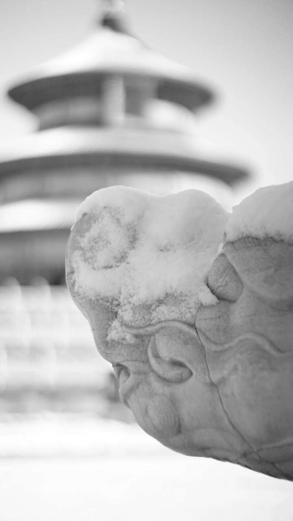 月圆亮马 艺聚朝阳：消费季进行时！北湖艺术季先“浪”起来，以艺术盛宴共迎灯光主题全面绽放 