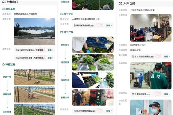 11.11行业首推“24小时菜”与“全程溯源” 京东七鲜树立生鲜品质新标杆 