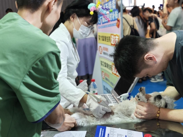 新瑞鹏深度参与行业盛会，特色活动彰显专业与关爱