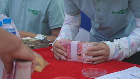 100 万现金直达农户！壹亩良田与庄子田村共绘乡村振兴新图景