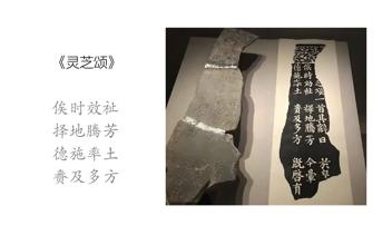 健康美业新标杆,“花小薇灵芝双养镇肤水”重塑健康美学