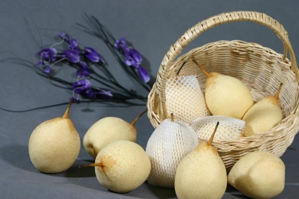从《千金要方》到贞观食养，古老养生智慧让晋州梨飘香世界 