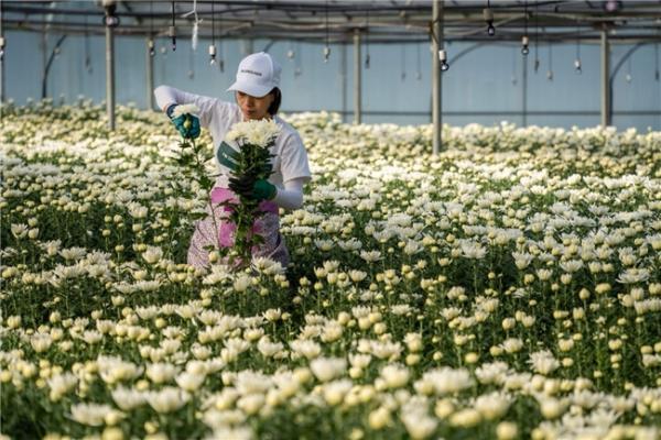 上海周末新去处！2025年绿色云品上海主题市集来袭，咖啡盲品、花艺手作等你来