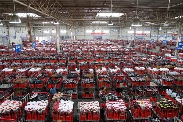 上海周末新去处！2025年绿色云品上海主题市集来袭，咖啡盲品、花艺手作等你来