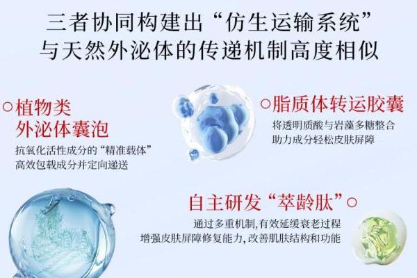 银发经济崛起，黛安蒂以“科学+温度”精准回应50+熟龄肌护肤需求 