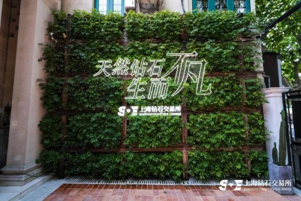 原钻2025年产量预计仅1.05亿克拉，稀缺性助推天然钻石市场价值回升 