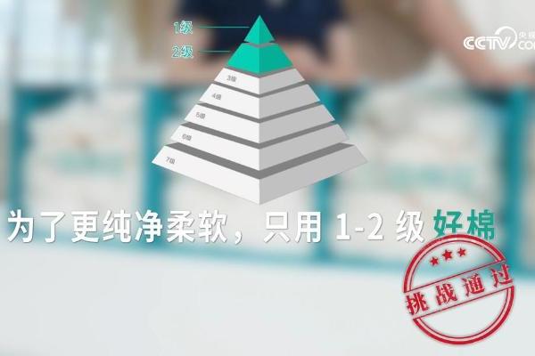 央视网“超级爸妈考察团”走进全棉时代婴童衣物安心工厂 