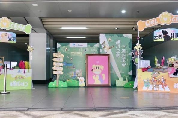 感谢每一份爱的助力！2025柯尼卡美能达导盲犬公益活动温情谢幕 