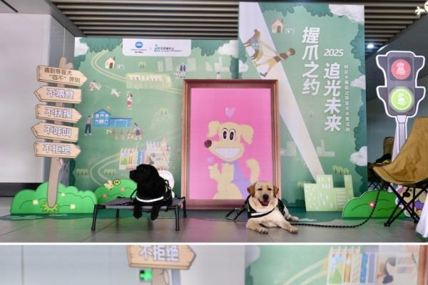 感谢每一份爱的助力！2025柯尼卡美能达导盲犬公益活动温情谢幕 