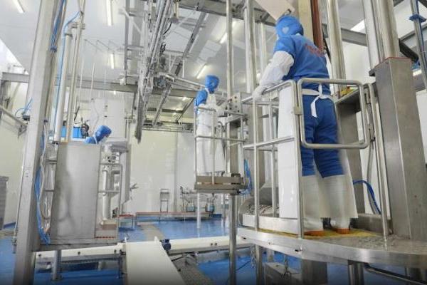 左庭右院鲜牛肉溯源【探索日】走进湖州自家屠场 解锁无抗鲜牛肉的 “安全密码” 