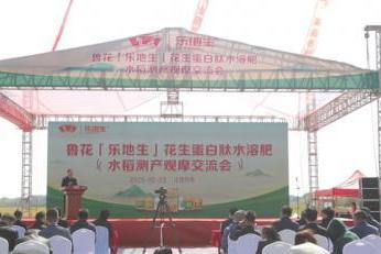 鲁花“乐地生”花生蛋白肽水溶肥水稻测产观摩会 在江西万年举行 