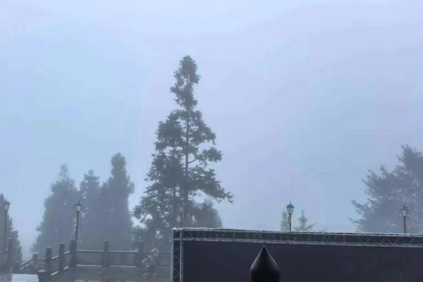 从斯里兰卡到青城山：羊爸爸松果公益在雨雾中为身心“松绑” 